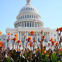 Geben und Nehmen auf Capitol Hill